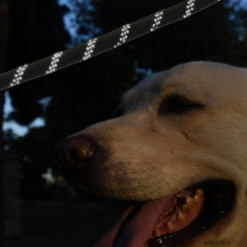 Smycz dla psa treningowa na lince wytrzymała odblaskowa 3m