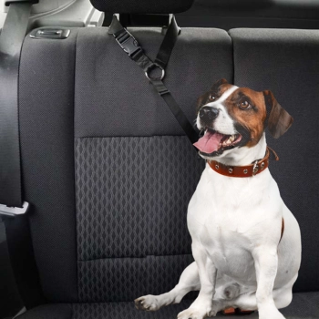 Smycz dla psa kota pas bezpieczeństwa do auta samochodu na zagłówek bezpieczny mocny