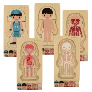Puzzle drewniane warstwowe budowa ciała montessori chłopiec