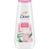 Dove Summer Care mit Rosen- & Aloe Vera Żel pod Prysznic 225 ml