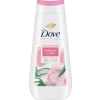 Dove Summer Care mit Rosen- & Aloe Vera Żel pod Prysznic 225 ml