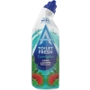 Astonish Toilet Fresh Eucalyptus Żel WC 750 ml