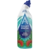 Astonish Toilet Fresh Eucalyptus Żel WC 750 ml