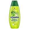 Schauma Natur Momente Zielone Jabłko i Pokrzywa 350 ml