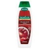 Palmolive Naturals Brilliant Color Szampon do Włosów 350 ml