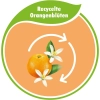Softlan Orangenblüten Płyn do Płukania 650 ml