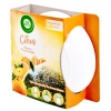 Air Wick Freshener Citrus Odświeżacz Powietrza 30 g DE