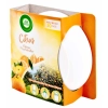 Air Wick Freshener Citrus Odświeżacz Powietrza 30 g DE