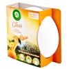 Air Wick Freshener Citrus Odświeżacz Powietrza 30 g DE