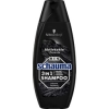 Schauma Men 3in1 Intensive Reinigung 350 ml DE