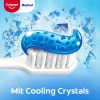 Colgate Max Fresh Cool Mint Pasta do Zębów 100 ml
