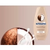 Schauma Repair & Pflege Odżywka do Włosów 250 ml DE