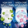 WC Frisch Grüner Apfel & Wasserlilie Zawieszka WC 50 g