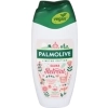 Palmolive Sauna Retreat Wood&Vanilla Żel pod Prysznic 250 ml