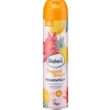 Balea Tropical Delight Lakier do Włosów 300 ml
