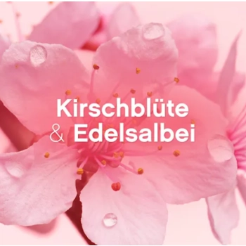 Lenor Kirschblüte & Edelsalbei Płyn do Płukania 32 prania