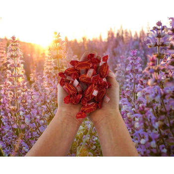 Em-eukal Granatapfel-Honig Cukierki Miód i Granat 75 g