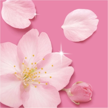 Mr.Propre Blossom Spray Multifunkcyjny 500 ml