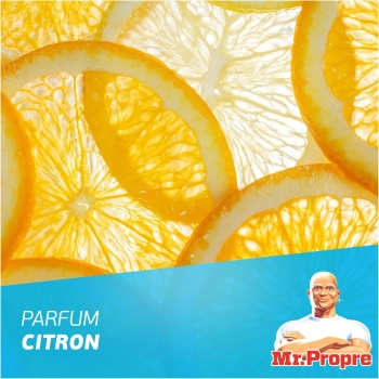 Mr.Propre Spray do Kuchni 500 ml