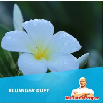 Meister Proper Frühlingserwachen Uniwersalny Środek Czyszczący 1 l