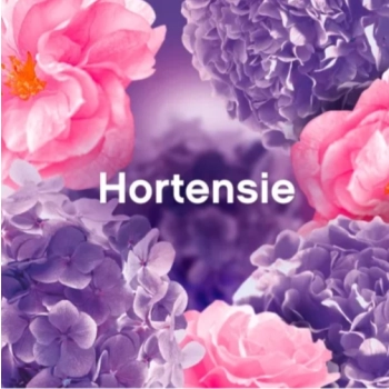 Lenor Blütentraum Płyn do Płukania 36 prań