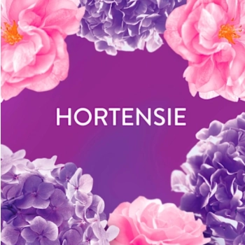 Lenor Blütentraum Płyn do Płukania 59 prań