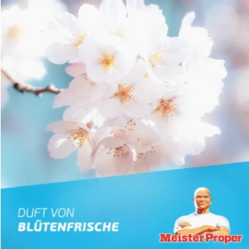 Meister Proper Badreiniger Blutenfrische Spray do Łazienki 800 ml