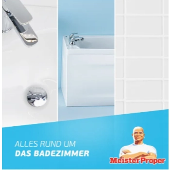 Meister Proper Badreiniger Blutenfrische Spray do Łazienki 800 ml