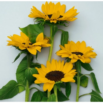 Bübchen Baby Sensitiv Balsam Pielęgnacyjny 400 ml