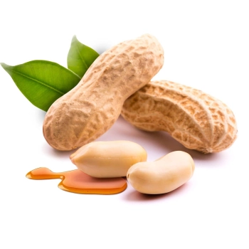 Mr. Tom Erdnussriegel Orzeszki w Karmelu 40 g