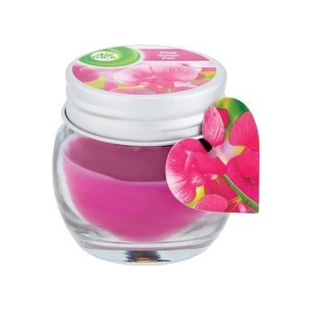 Air Wick Sweet Pea Świeczka zapachowa 30 g