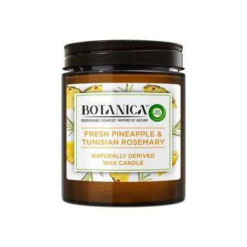 Air Wick Botanica Pineapple&Tunisian Rosemary Świeca Zapachowa 205 g