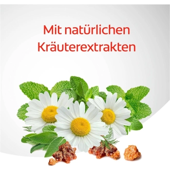 Colgate Dentagard Ziołowa Pasta do Zębów 75 ml