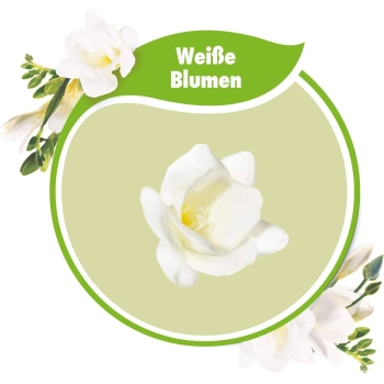 Softlan Weisse Blumen Płyn do Płukania 27 prań