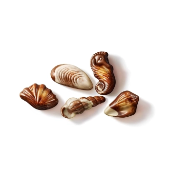 MaitreTruffout Praliny Owoce Morza 250 g