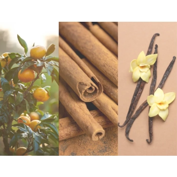 Bettina Barty Vanilla Dezodorant Spray 150 ml