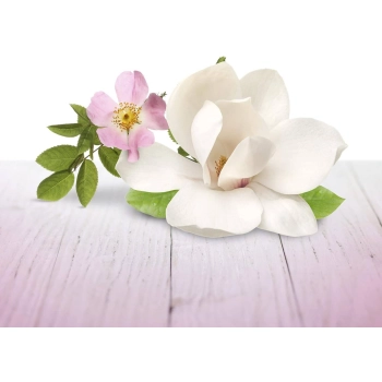 Air Wick Blutenfrische Fleurs Odświeżacz w Żelu 150 g