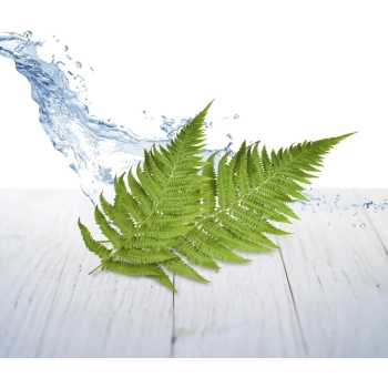 Air Wick Himmelsfrische Odświeżacz w Żelu 150 g