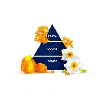 Felce Azzurra Narcissus Żel pod Prysznic 650 ml