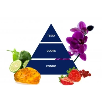 Felce Azzurra Orchidea Nera e Seta Koncentrat do Płukania 600 ml