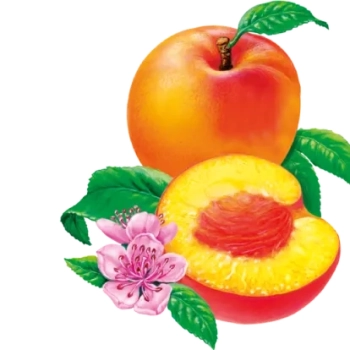 Haribo Pfirsiche Żelki 175 g