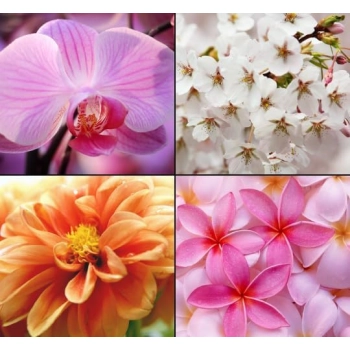 Tesori d'Oriente Orchidea Imperiale Mydło 125 g