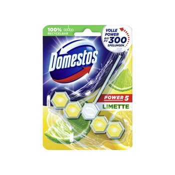 Domestos Power 5 Limette Zawieszka WC 55 g DE