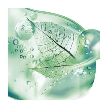 Gliss Kur Nutri-Balance Repair Szampon do Włosów 250 ml