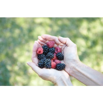 G&G Konfitura Owoce Leśne Extra 450 g