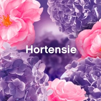 Lenor Weichspüler Blütentraum Płyn do Płukania 56 prań DE