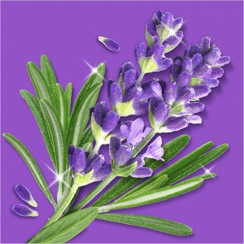 Mr.Propre Savon De Marseille Spray z Mydłem Marsylskim 500 ml