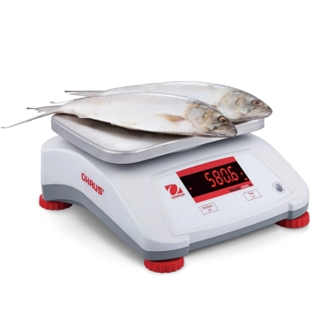  Waga kuchenna kontrolna wodoodporna IP68 VALOR 2000 30kg / 5kg - OHAUS V22PWE30T - zdj. dodatkowe 3