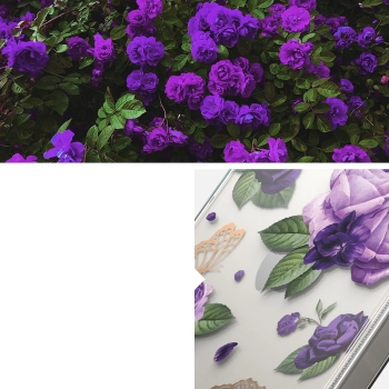  Pancerne etui pokrowiec z żelową ramką iPhone 14 Plus Fusion Design Purple Rose przezroczysty - zdj. dodatkowe 9