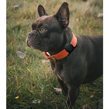  Etui na lokalizator Apple AirTag silikonowe na obrożę psa lub kota - czarne - zdj. dodatkowe 4